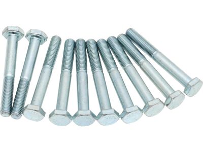 17418 - CCE BOLT,ADJ.PLAT.SCREW(2614) 10PK