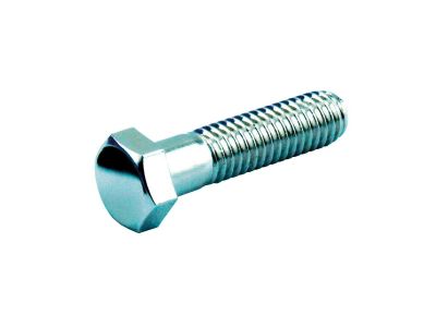 25138 - CCE Hex Head Screw Pack Chrome Grade 5 Hex head 5/16