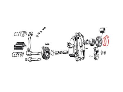 25291 - CCE CLUTCH SPRING