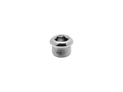 35623 - COLONY Sockethead Timing Plug Chrome Socket head