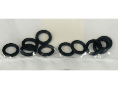 54441 - RevTech Oil Cooler Control Jet O-Ring Pack 10