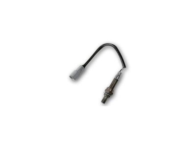 602405 - TERRY Replacement O2 Sensor