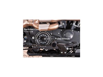 607984 - Rick's 29 teeth Pulley Cover for Sportster