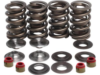 622206 - KIBBLEWHITE Racing Valve Spring Kit Valve Lift: 0.600