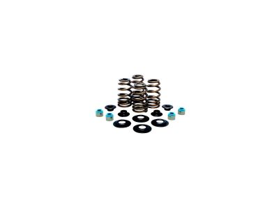 622239 - KIBBLEWHITE High Performance Beehive Valve Spring Kit Retainer Materia...
