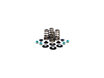 622242 - KIBBLEWHITE High Performance Beehive Valve Spring Kit Retainer Materia...