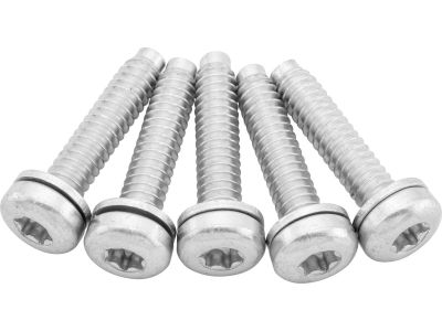 653432 - CCE OEM Replacement Fuel Pump Screws for Sportster Models