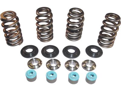 699242 - MANLEY 05 TC VALVE SPRING STL CLR Conical Valve Spring Kits Steel Coll...