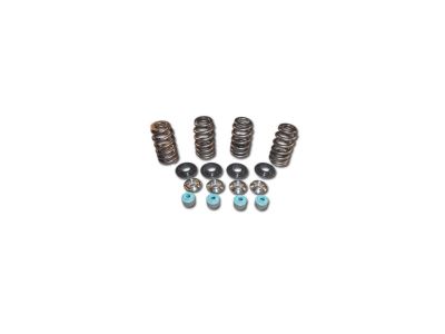 699243 - MANLEY 05 TC VALVE SPRING TIT CLR Conical Valve Spring Kits Titanium C...