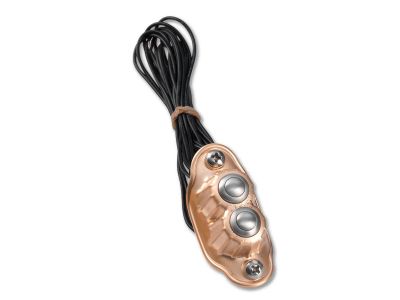 888981 - KUSTOM TECH Deluxe Switch Housing Dual button Brass Satin