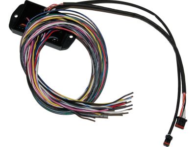890141 - NAMZ Bagger Can Bus Controller for Custom Handlebar Switches Can Bus Controller for Custom Handlebar Switches