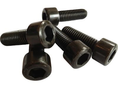 890778 - CULT WERK Cult-Werk, Triple Tree Bolts, Set Of Five, Black Triple Tree...