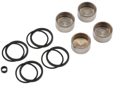 893542 - DAYTONA Brake Caliper Piston and Seals Rebuilt Kit Front