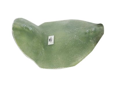 910643 - Rick's Seat Pan for 6