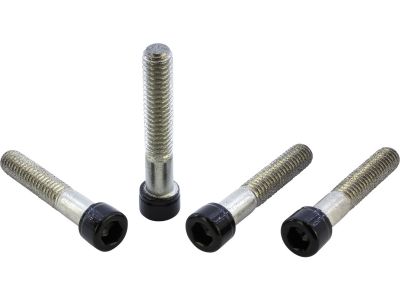 914246 - screws4bikes Front Fender Screw Kits Gloss Black Powder Coated