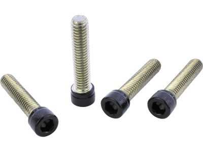914248 - screws4bikes Front Fender Screw Kits Gloss Black Powder Coated