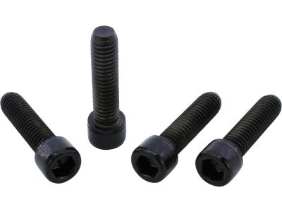 914251 - screws4bikes Sockethead Fork Clamp Screw Kit 4-Piece Gloss Black Powde...