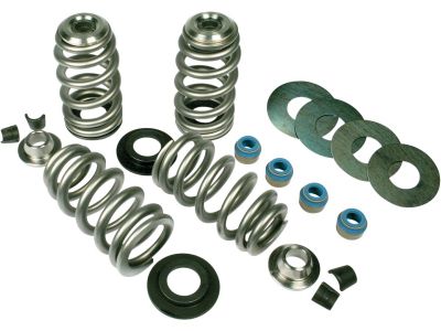 917806 - FEULING Econo Beehive Valve Spring Kit