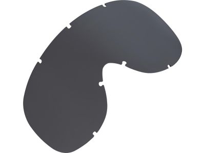 920287 - PIWEAR Arizona Google Lenses