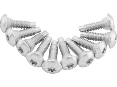 921307 - TWIN POWER Fuel Pump Plate Screw Kit