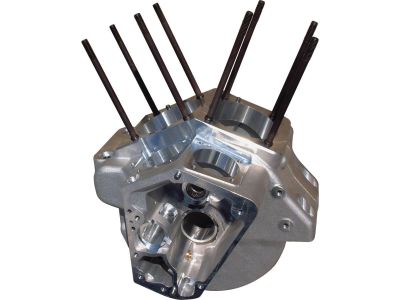 924285 - ULTIMA Evolution Standard 3.500