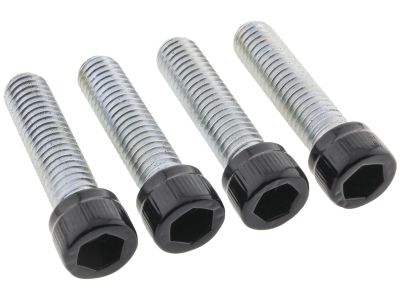 924705 - screws4bikes Footrest Screw Kits Gloss Black Powder Coated