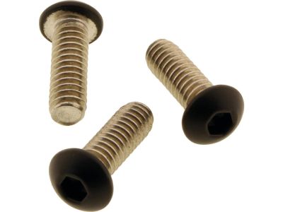 924706 - screws4bikes Battery Side Cover Screw Kit Satin Black Powder Coated