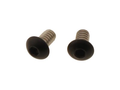924715 - screws4bikes Aircleaner Screw Kit Supplied are 2 screws Satin Black Po...