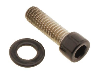 924723 - screws4bikes Belt Cover Screw Kit Satin Black Powder Coated