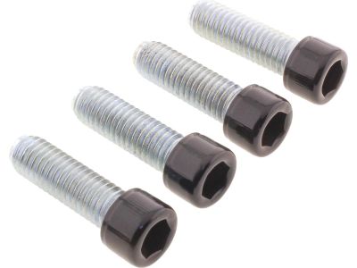 924726 - screws4bikes Footrest Screw Kits Gloss Black Powder Coated