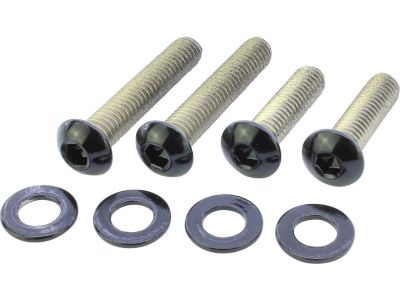 924739 - screws4bikes Fender Strut Screw Kits Supplied are 4 screws Satin Black...