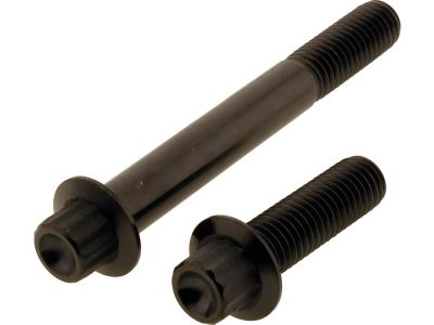 924748 - screws4bikes Titan Front Brake Caliper Screw Kit 2-Piece Black