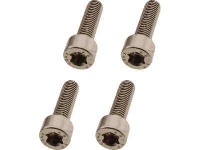 924849 - screws4bikes Handlebar Clamp Screw Kit Stainless Steel