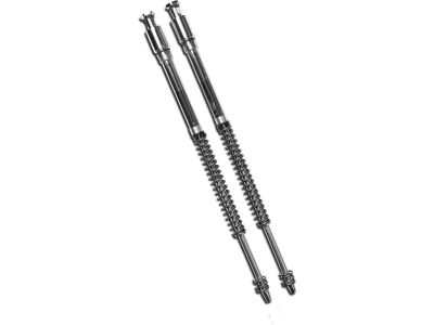 928179 - PROGRESSIVE +2