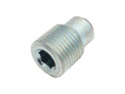 930460 - COLONY Magnetic Primary Housing and Transmission Drain Plug Zinc Plate...