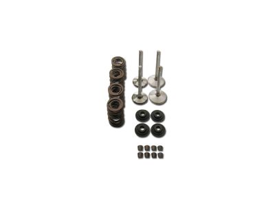 99213 - MANLEY Race Master Valve Train Component Kit