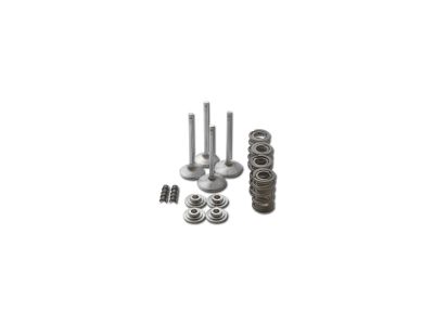 99272 - MANLEY Race Master Valve Train Component Kit