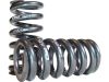 687088 - Eibach Federn EIBACH HEAVY DUTY PROGESSIVE SPRING SET Progressive Spring Set 1100-1250 lbs/inch Black