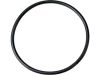 85021 - CCE Spotlight O-Ring Set 5 mm thick