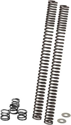 04050528 - PROGRESSIVE FORK SPRING KIT