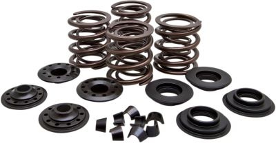 09262926 - KIBBLEWHITE SPRING KIT RACING STEEL RETAINER