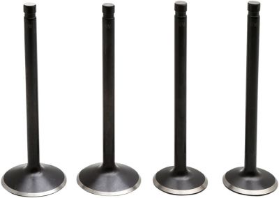 09263211 - KIBBLEWHITE VALVE KIT 86-03 EVO/883