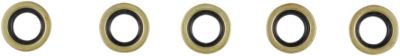 09350163 - COMETIC STARTER SHAFT SEAL TC