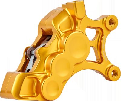 17010678 - ARLEN NESS CALIPER 6P 14