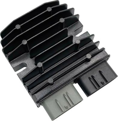 21121809 - Rick's REC/REG LITH COMP INDIAN