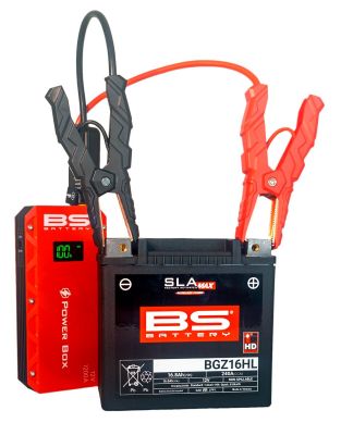 21130913 - BS BATTERY BATTERY BOLT/NUT SET(1)