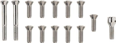 24010616 - COLONY COVER SCREW KT 56-64 CHR