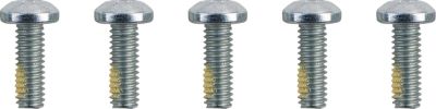 24011582 - DRAG SPECIALTIES SCREWS F RTR 5/16-18TORX