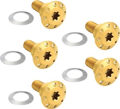 24011716 - ARLEN NESS BOLT KIT ROTOR FRONT HOLESHOT 5 PACK SPOKE MNT GOLD
