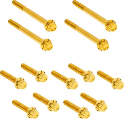 24011733 - ARLEN NESS HARDWARE KIT TITANUIM 12PT PRIMARY COVER GOLD